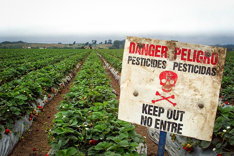 Choosing Produce: Beware the Dirty Dozen!