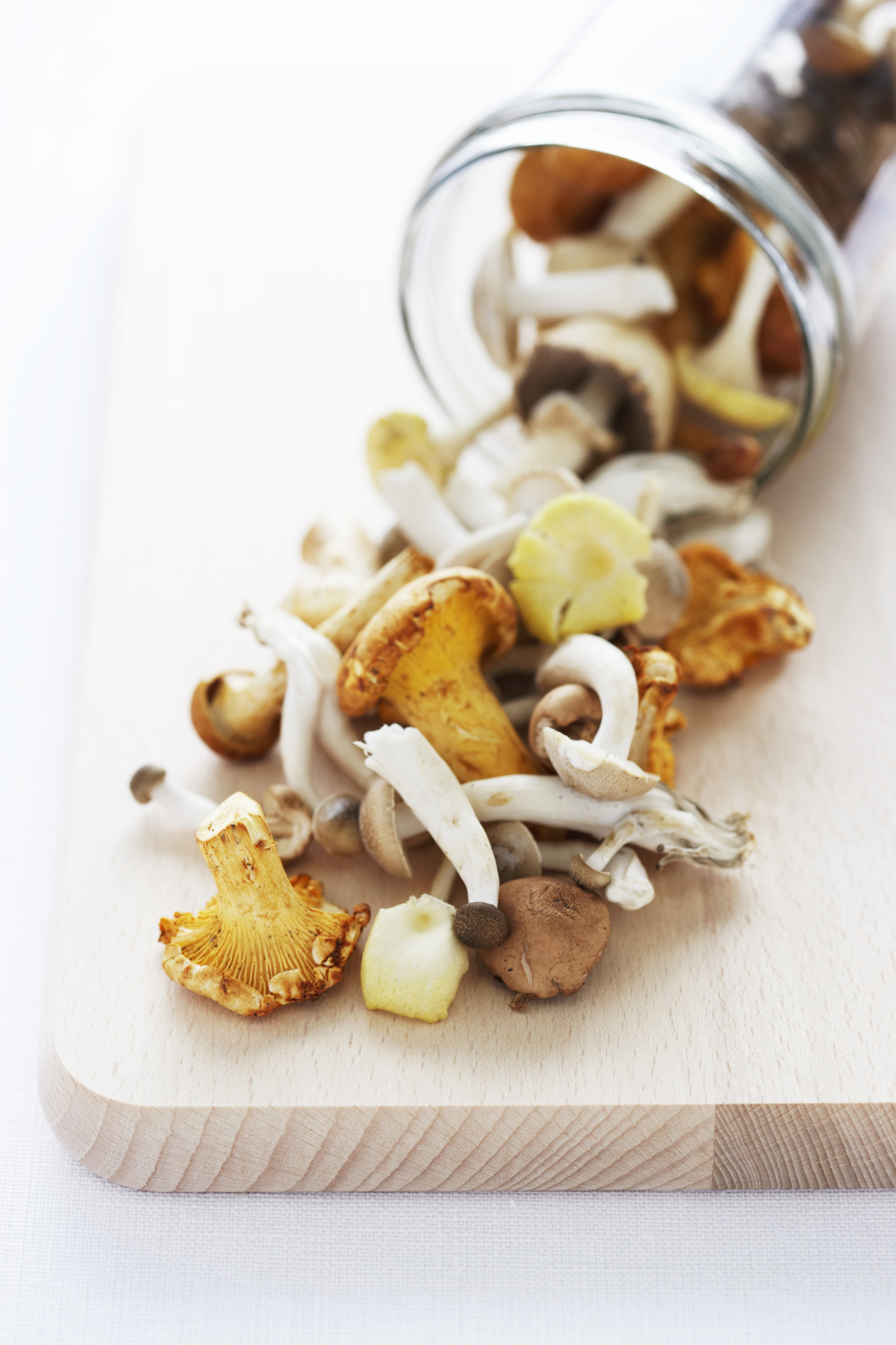 From Their Farm To Your Doorstep: Mushrooms