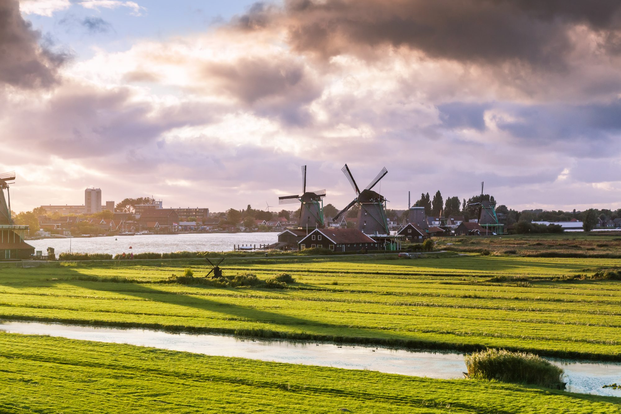 Food for Thought: Netherlands + Sustainable Farming