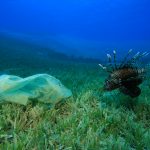 Purium Joins the Charge Against Plastic