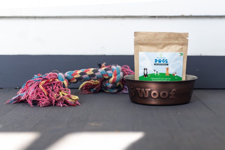 Nourish Your Pet’s Health A Peek Inside EpiGenius Dogs