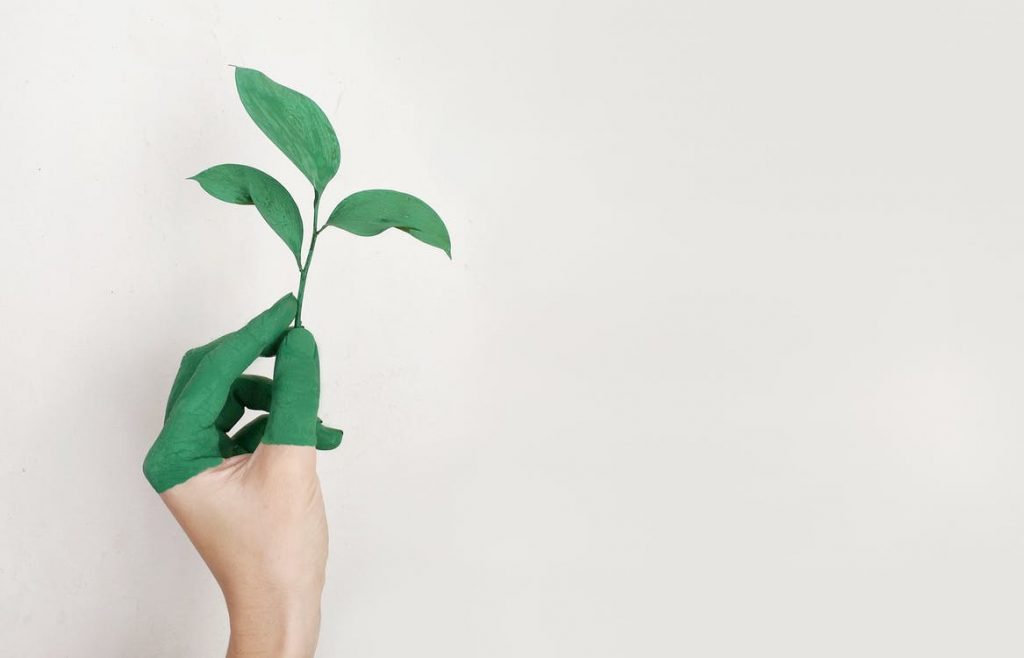eco-friendly, plant
