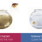 Germ Theory Vs. Terrain Theory