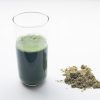 Power Shake: Power Your Nutrition