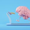 What Are You Feeding Your Brain?